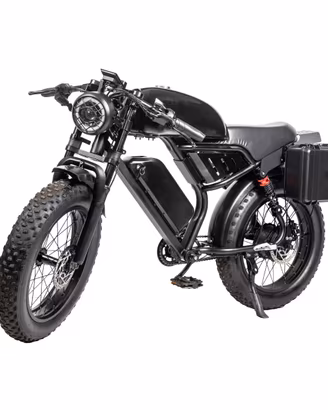 Bicicletta elettrica EGOBIKE MODELLO RETRO 48V/20A