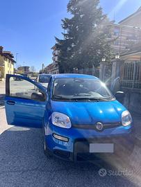 Fiat Pandina fine novembre 2024
