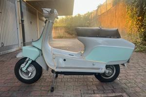 Orsetto Bianchi 80 - 1969