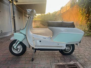 Orsetto Bianchi 80 - 1969