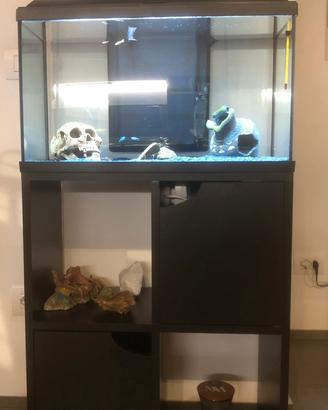 Acquario completo