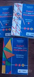 Libro "colori della matematica  1 " 