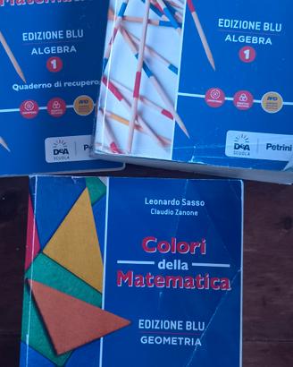 Libro "colori della matematica  1 " 
