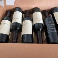 Vino rosso 12 bottiglie