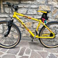 Mountain bike