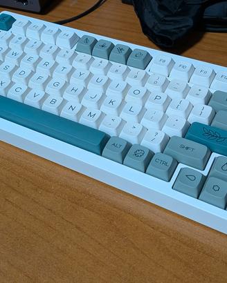 monsgeek v1 m5 custom