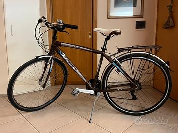 Bicicletta Bottecchia Verde Natura uomo