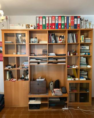 Libreria Ikea