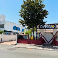 Pomezia Martin Pescatore intero fabbricato da ciel