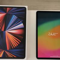 iPad Pro 12.9" 5th Gen 512GB M1 WiFi + Cell Usato