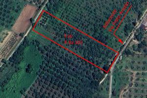 Vendita di terreno in via Prato Amato, 5