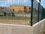 Immagine 7