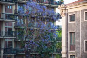 Appartamento - Catania