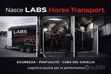 Trasporto cavalli gare e trasferte - LABS