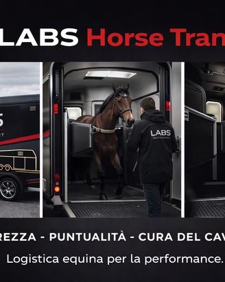Trasporto cavalli gare e trasferte - LABS