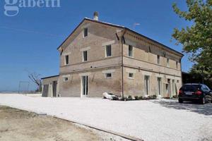 Casa Indipendente Senigallia [SV04325VRG]