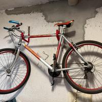 Bici montain bike uomo