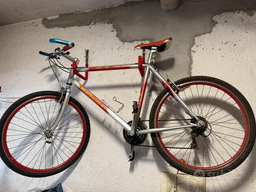 Bici montain bike uomo