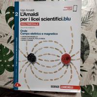 L'amaldi per i licei scientifici blu 2