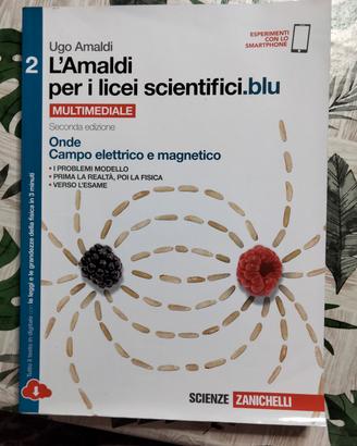 L'amaldi per i licei scientifici blu 2