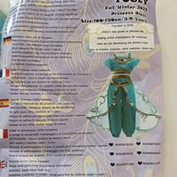 Costume carnevale Jasmine (Aladin). Ritiro in loc