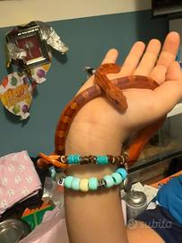 Serpente del grano