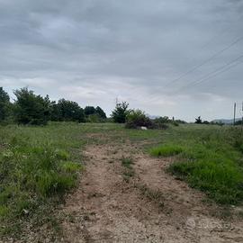 Terreno agricolo 3500mq