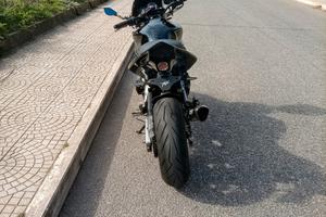 Honda Hornet 