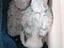 Immagine 2