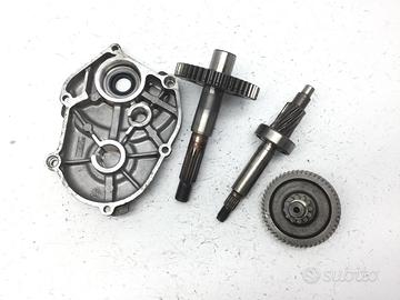 APRILIA SCARABEO 50 CARTER E INGRANAGGI RUOTA POST