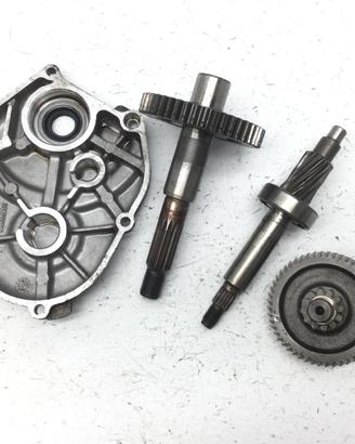 APRILIA SCARABEO 50 CARTER E INGRANAGGI RUOTA POST