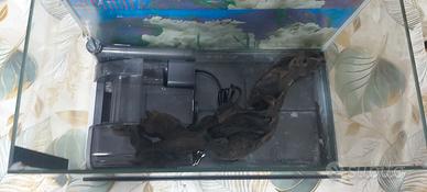 Acquario piccolo