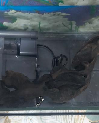 Acquario piccolo