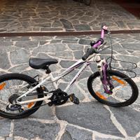 Specialized Hotrock 20