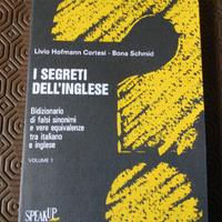 I segreti dell'inglese.Bidizionario falsi sinonimi