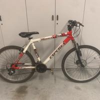 Bici MTB