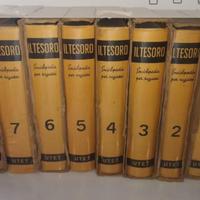 enciclopedia per ragazzi  il tesoro 