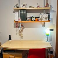 Scrivania e libreria