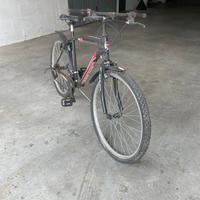 Bicicletta passeggio