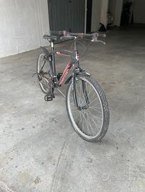 Bicicletta passeggio