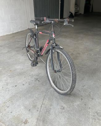 Bicicletta passeggio