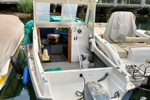 Pilotina vetroresina 6 m con motore Evinrude