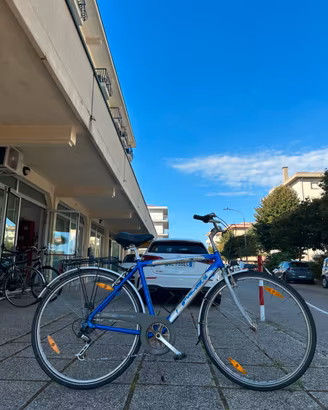 City bike da uomo