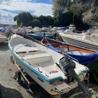 Lancia Delfino 520 - euro 1.800