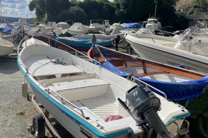 Lancia Delfino 520 - euro 1.800