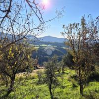 TER. RESIDENZIALE A MOMPEO