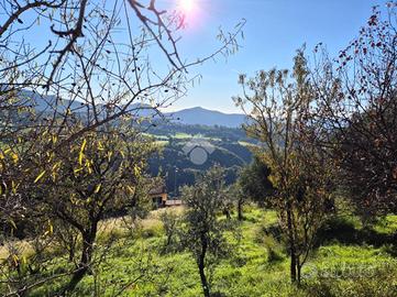 TER. RESIDENZIALE A MOMPEO