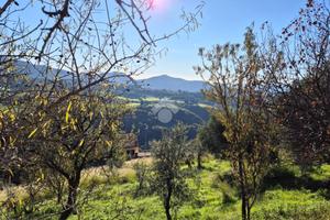 TER. RESIDENZIALE A MOMPEO