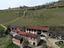 Immagine 14