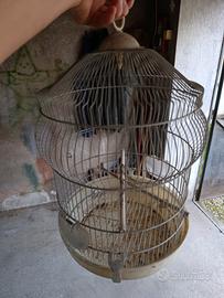 gabbia per uccelli 